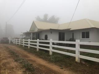 Tambai cafe and home stay - 4