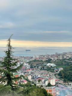 Yeşilliğin İçindeki Aradığınız Huzur - 9