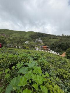 Vismaya Villas - Breathe Deep, Sleep Deep - 3