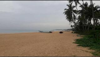 Windana Beach Bungalow - 3