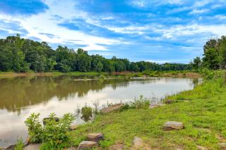 4 Resort Cabins Near Greers Ferry Lake South Fork - 9