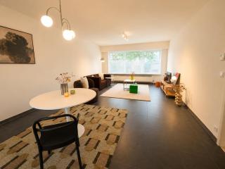 Modern 2 BR apartment in Centre - 1