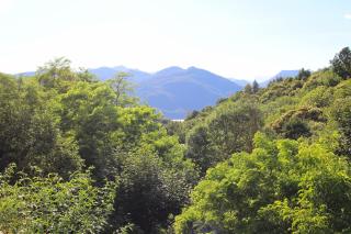 Casa Roccia-tra bosco, passeggiate e Lago Maggiore - 5