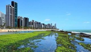 Boa Viagem Beach Premium 3 Quartos 1 Min da Praia Wi-Fi Garagem - 2