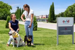 avid hotel Mission East - McAllen Area by IHG - 1