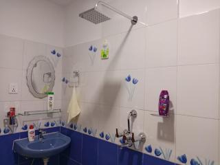 Stupas, Temples and Coffee 2BR Flat in Kathmandu - 4