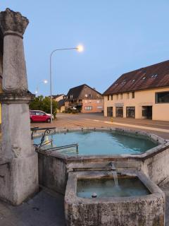 Peaceful room with private bathroom TV Wi-Fi free Parking Near Brugg Baden Zürich - 5