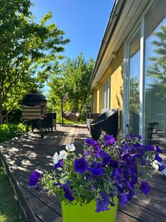 Summer Breeze House - 9