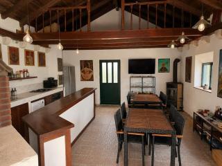 Villa Toma Zagvozd - 2 apartments with a pool - 3