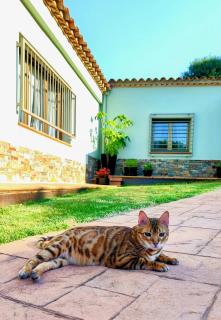Villa Del Sol - 4