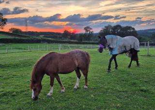Paddock Views at Fairfield Court - 2