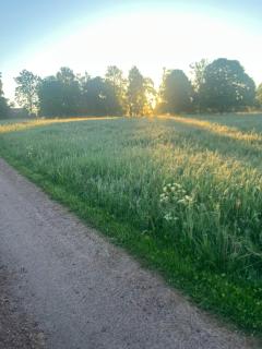 Småland Farm Stay - 9