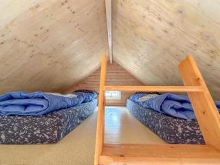 Seagul - 6