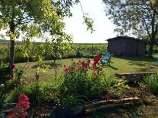 Gite au calme avec vue sur les vignes - 1