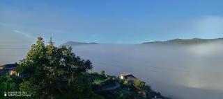 Rhodo retreat - 4