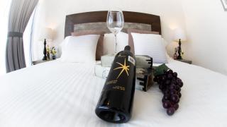 Casa Diamante Viñedos - 8