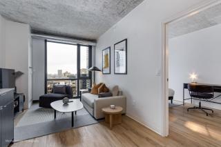 South Loop Rooftop With In and Out Parking 2 - 6