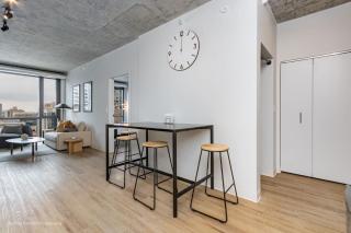 South Loop Rooftop With In and Out Parking 2 - 2