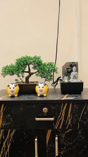 The Madras Nest - 3