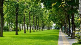 2BR-2WC-Vinhomes Grand Park-Sunset View-Gần Vincom - 8