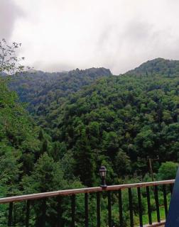 Kaçkin Bungalow with Jacuzzi in Nature - 4