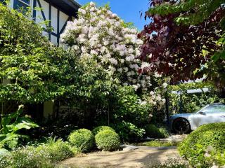 Classic Tudor family home - 9