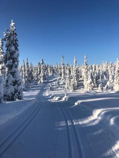 Flott familiehytte til leie Budor - 8