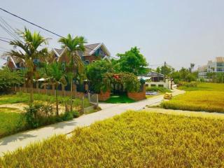 Wooden chill house - 6