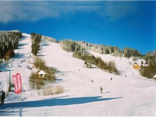 Cottage Kurshevel - Slavske - 1