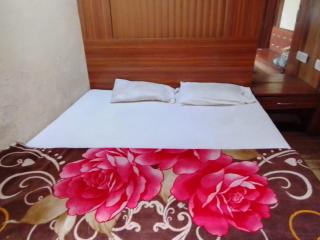 Hotel shree - 0
