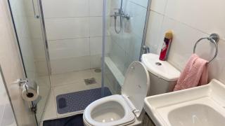 Homely spaces - 3