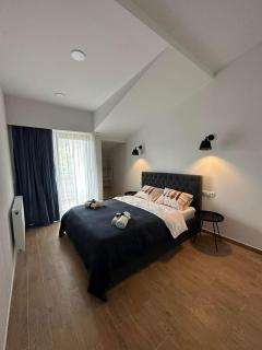 Bakuriani Inn Apartment 561 - 8