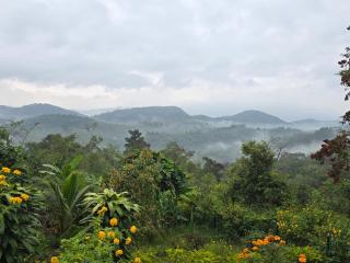 Sumeru valley vagamon - 9