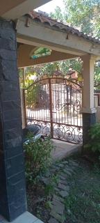 Vila Pinus V - 4