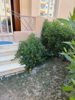 Oraby house - 2