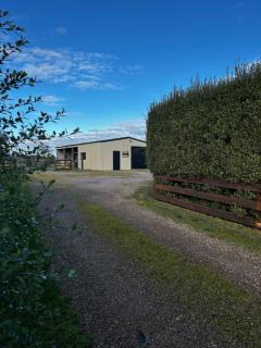 105 Mary St Westbury - 4