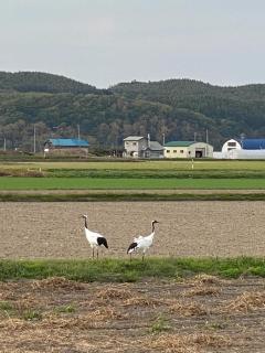 Comfort Stay Abashiri - 9