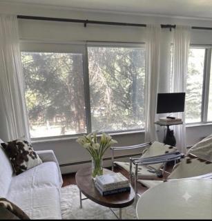 Downtown Aspen, Aspen Mountain & Cowhide! Romantic! 1300 ft, 4 Blocks or 396 m, to AJAX or Aspen Mountain - 4