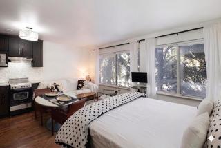 Downtown Aspen, Aspen Mountain & Cowhide! Romantic! 1300 ft, 4 Blocks or 396 m, to AJAX or Aspen Mountain - 5