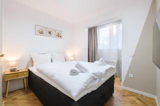 Central Plovdiv 3BR Apartments Free Parking - 4
