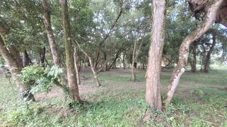 Vacation Villa - Katunayake - 3
