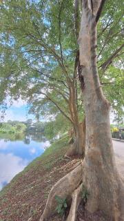Vacation Villa - Katunayake - 9