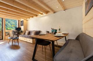 Grand Roc C411 from Slopes 280m, Mont-Blanc View, Parking & WiFi - Happy Rentals - 8