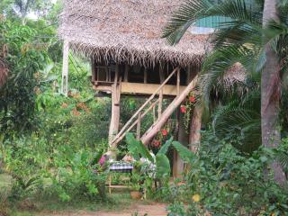 Sigiri Veenus Tree House - 5