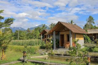 Bee Camp Bedugul by AGATA - 0