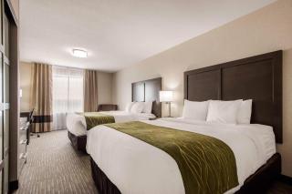 Comfort Inn & Suites - 1