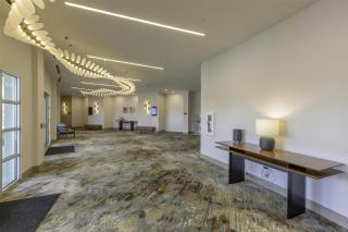 Doubletree By Hilton Midland West Loop I-250 - 7