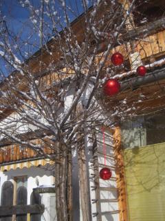 Haus Priller - 5