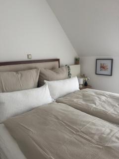 Haus David - 5
