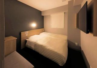 Super Hotel Sapporo Kitagojo Dori - 8